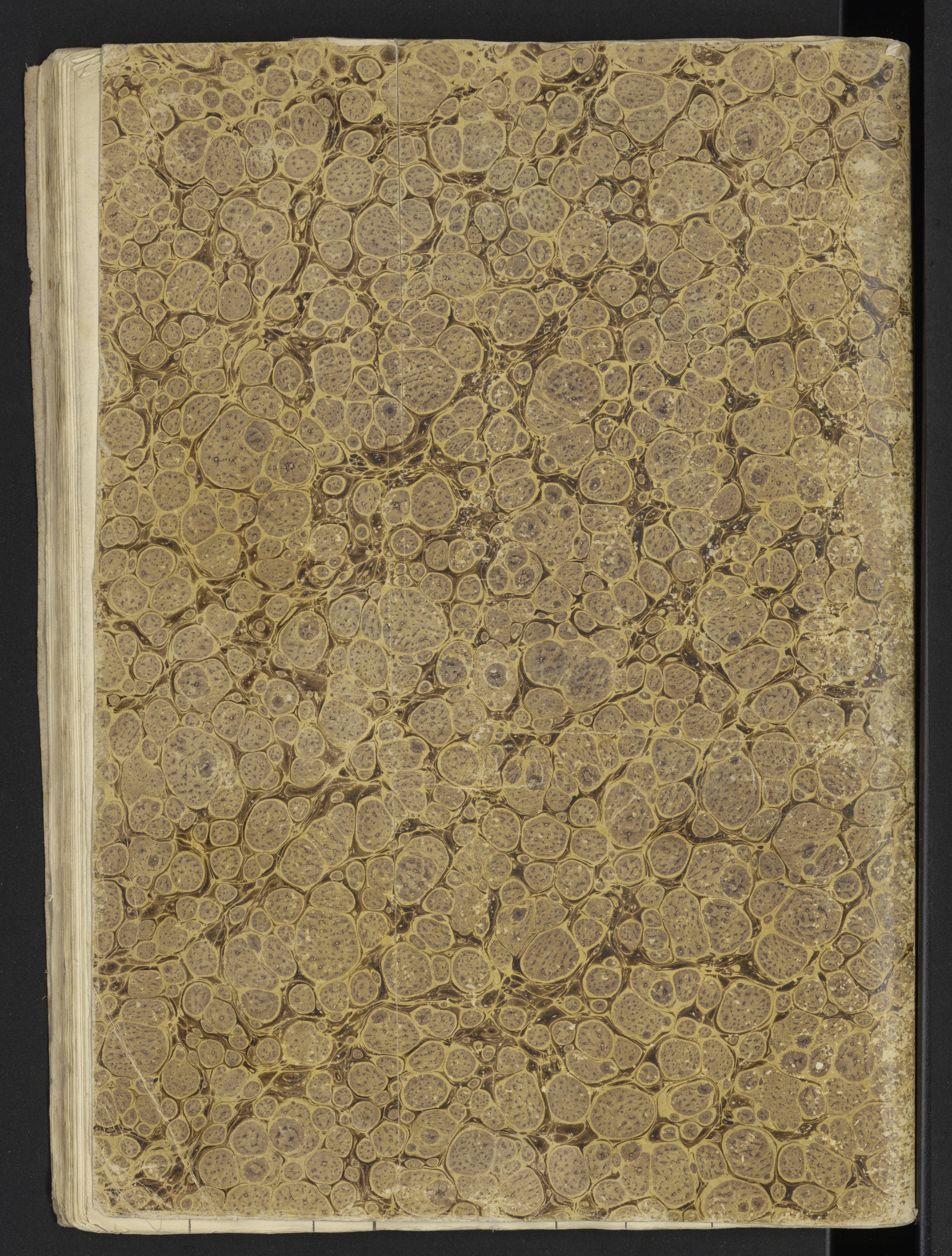 Scan 39 uit het bronpakket: Stamlijst van officieren van het Garderegiment Kurassiers te Leiden, 1808