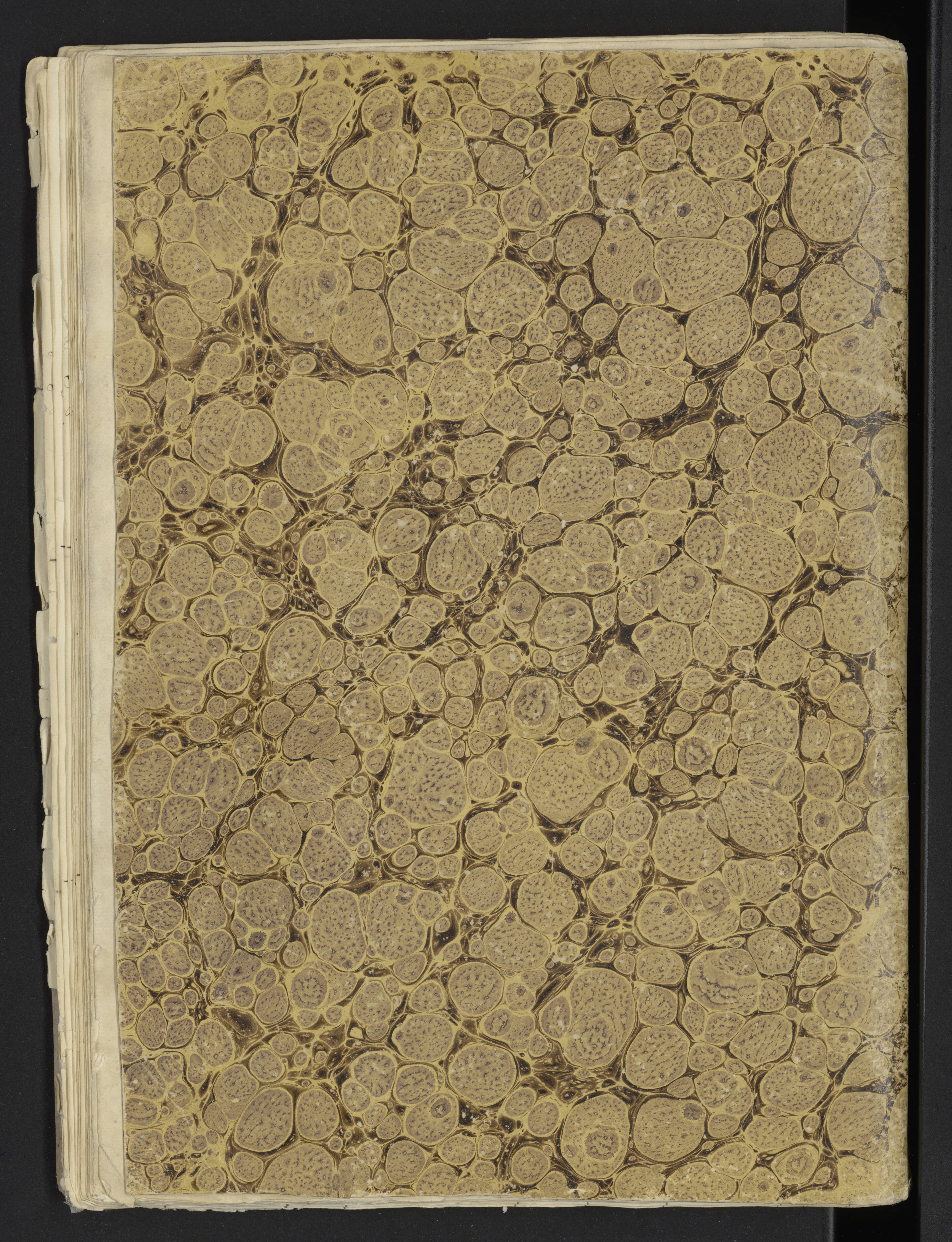 Scan 24 uit het bronpakket: Stamlijst van officieren van het Korps Lijfwachten, 1809